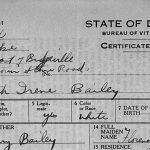 Delaware Birth Records, 1924-1929