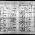 Colorado State Census, 1885