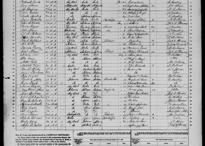 Florida State Census, 1885